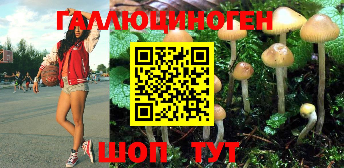 Псилоцибиновые грибы MAGIC MUSHROOMS  Вход с VPN  Новочеркасск  Псилоцибиновые грибы Psilocybe 