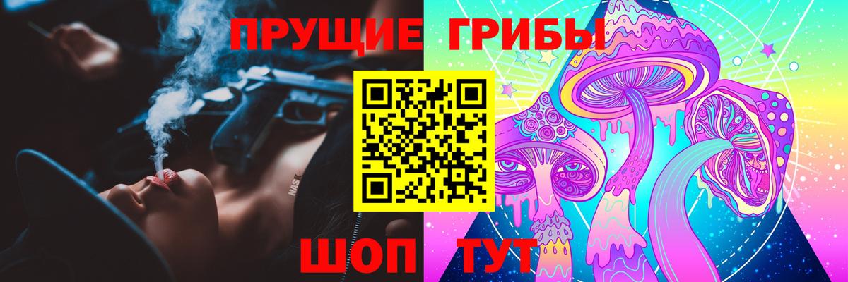 Псилоцибиновые грибы Psilocybine cubensis Новочеркасск